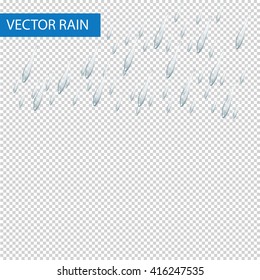 Vector rain isolated on transparent background. Vector illustration