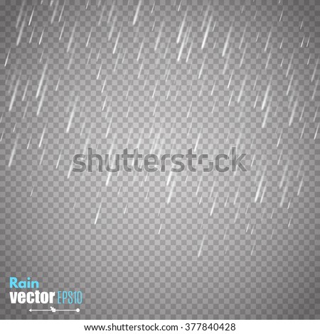 Vector rain isolated on transparent background. 