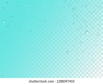 Vector rain pattern on transparent background. Pure realistic water drops on window glass surface