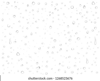 Vector rain water drops on white background. Pure realistic droplets condensed. 