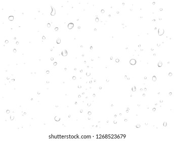 Vector rain water drops on white background. Pure realistic droplets condensed. 