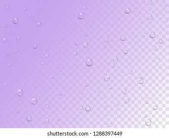 Vector rain water drops on transparent background. Pure droplets condensed. Realistic pattern on window glass surface