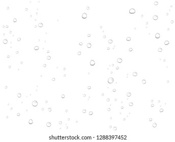 El agua de lluvia vectorial cae sobre fondo blanco. Gotas realistas puras condensadas. 