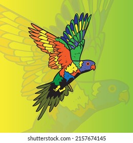 Vector Rainbow Loriket Colorfull Illustration Mascot Bird