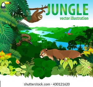 vector rainforest jungle with differend animals