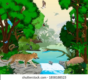 vector Rainforest jungle river with animals