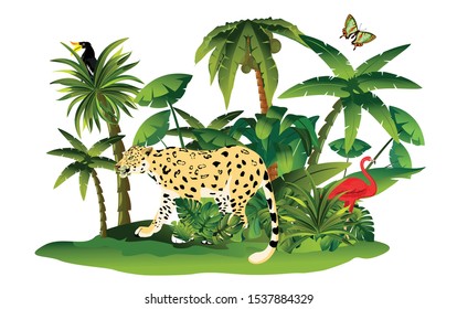 vector rainforest jungle scene with differend animals isolated on white
