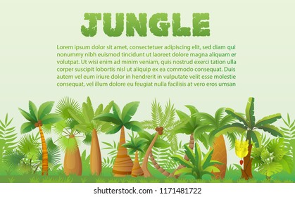 Vector Rainforest palm trees with other tropical exotic plants landscape. Lush forest jungle tree.