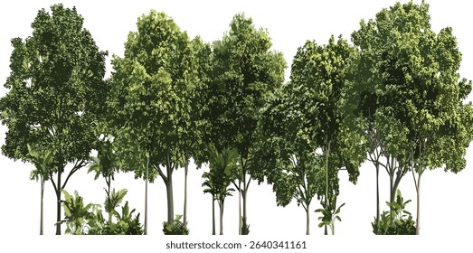 Vector rainforest trees cut out set, transparent background, tropical foliage, jungle, nature, eco friendly design, botanical, forest elements, green trees, isolated leaves