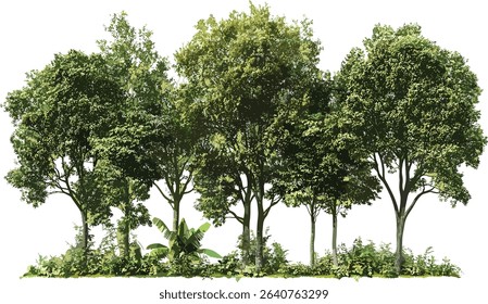 Vector rainforest trees greenery cutout, transparent background, tropical forest leaves, lush foliage, exotic jungle, nature illustration, wild environment, tree silhouette, forest design