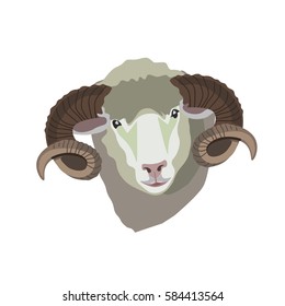 Vector ram head