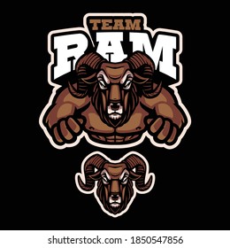 vector of ram mascot for sport and esport logo