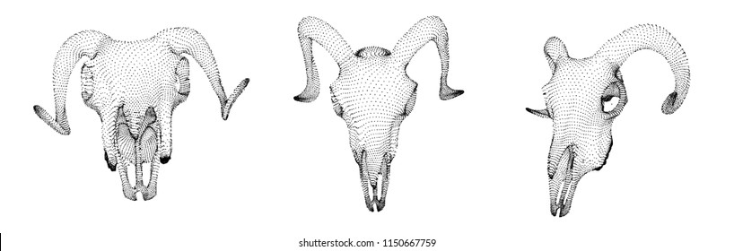 vector ram skull. 3d image from dot and point