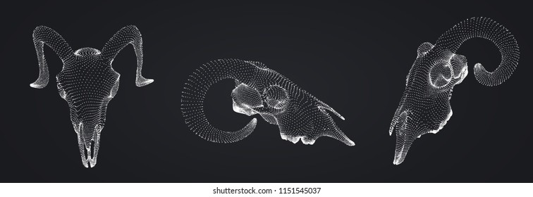 vector ram skull. 3d image from dot and point