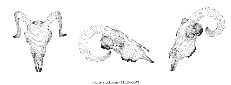 vector ram skull. 3d image from dot and point