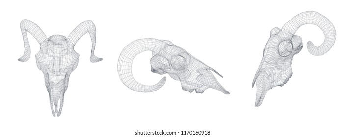 vector ram skull. 3d image of segments and polygons