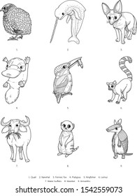 vector random animal around the world.