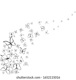 Vector random silhouette, beautiful butterflies, isolated on a white background