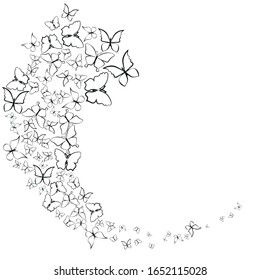 Vector random silhouette, beautiful butterflies, isolated on a white background