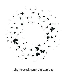 Vector random silhouette, beautiful butterflies, isolated on a white background