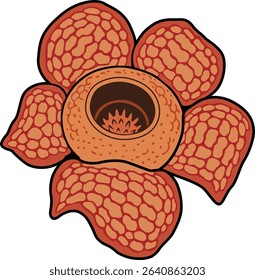 vector of the rare rafflesia hasseltii flower