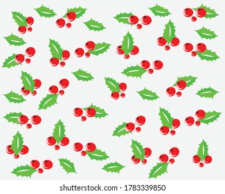 Vector of rasp berry leaves and fruits