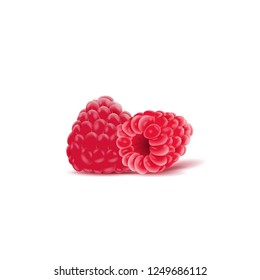 vector raspberries isolated on background