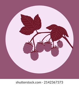 vector raspberry background for decoration and design