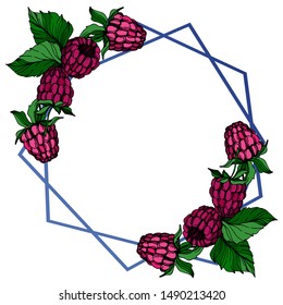Vector Raspberry healthy food fresh berry isolated. Black and white engraved ink art. Frame border ornament square on white background.