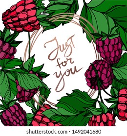 Vector Raspberry healthy food fresh berry isolated. engraved ink art. Frame border ornament square on white background.