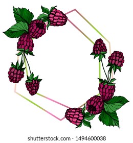 Vector Raspberry healthy food fresh berry isolated. Black and white engraved ink art. Frame border ornament square on white background.