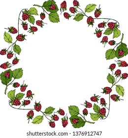 Vector Raspberry healthy food isolated. Red and green engraved ink art. Frame border ornament square on white background.