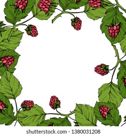 Vector Raspberry healthy food isolated. Red and green engraved ink art. Frame border ornament square on white background.