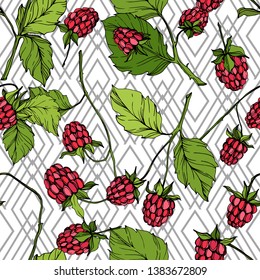 Vector Raspberry alimento saludable aislado. Arte de tinta con grabado rojo y verde. Patrón de fondo sin foco. Textura de impresión de papel tapiz de tela.
