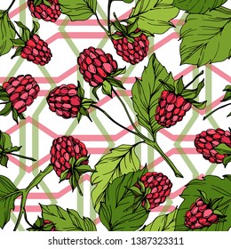 Vector Raspberry healthy food isolated. Red and green engraved ink art. Seamless background pattern. Fabric wallpaper print texture.