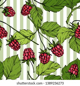 Vector Raspberry healthy food isolated. Red and green engraved ink art. Seamless background pattern. Fabric wallpaper print texture.