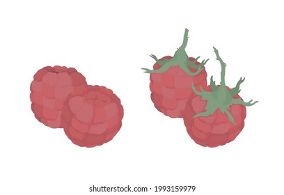 Frambuesa vectora. Ilustración para el menú del mercado agrícola, receta, menú de verano, invitaciones, carteles, pegatinas y diseño estacional. Esbozar ilustración vectorial en un fondo blanco.