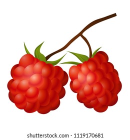 Vector raspberry with leaves on branch icon. Isolated elements on white background. Perfect for game icon or other design works.