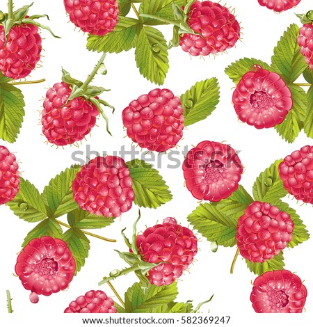 Vector raspberry seamless pattern on white. Background design for sweets and pastries filled with raspberry, dessert menu, health care products, natural cosmetics. Best for wrapping paper.