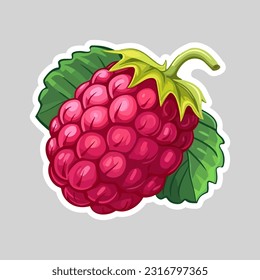 Vector raspberry sticker isolated on white. Cartoon flat style. illustration Red yammi berry with green leaves Healthy diet vegetarian eco food. Decoration for packaging, menu etc