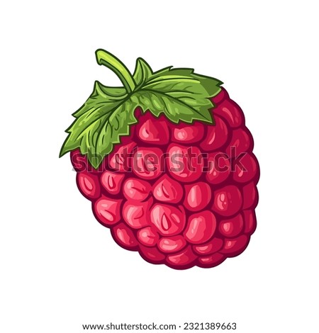 Vector raspberry sticker isolated on white. Cartoon flat style. illustration Red yammi berry with green leaves Healthy diet vegetarian eco food. Decoration for packaging, menu etc