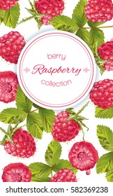 Vector raspberry vertical banner on white background. Design for sweets and pastries filled with berry, dessert menu,natural cosmetics, health care products. With place for text