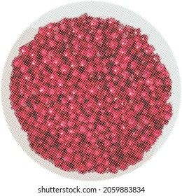 Vector raster image of hawthorn in a white round bowl