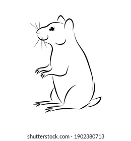 Vector of rat design. Rat logos or icons.isolated on white background. For a simple design.