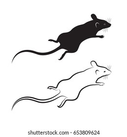 Vector of a rat design on white background. Mammal Animal.