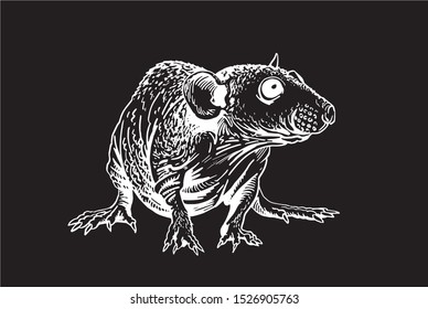 Vector  rat isolated on black background, graphical engraved  illustration for printing