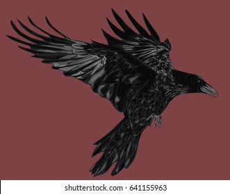 Vector Raven on Red