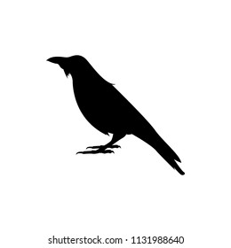 vector raven silhouette