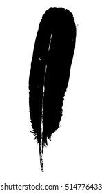 Vector raven's feather. Silhouette. Black and white background. 