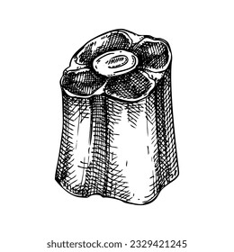 Vector raw oxtail with meat sketch. Hand drawn tail of cattle isolated on white background. Engraved food illustration for butchery, recipes, menu in vintage style. 